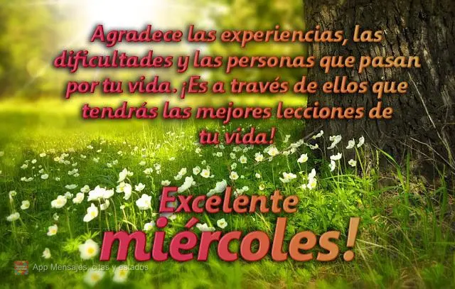 Agradece las experiencias, las dificultades y las personas que pasan por tu vida. ¡Es a través de ellos que tendrás las mejores lecciones de tu vida! ...