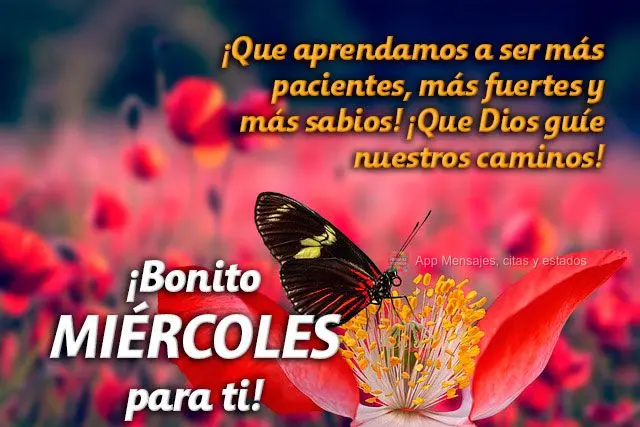 ¡Que aprendamos a ser más pacientes, más fuertes y más sabios! ¡Que Dios guíe nuestros caminos! ¡Bonito miércoles para ti!