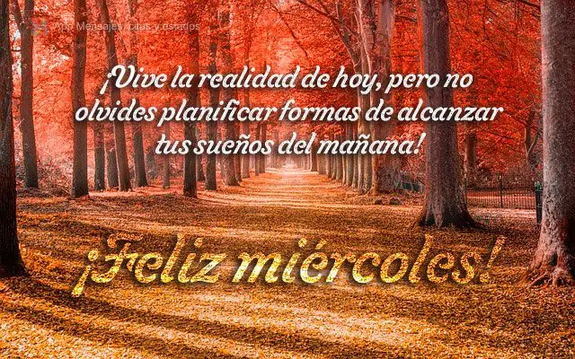 Viva a realidade de hoje, mas não esqueça de planejar maneiras de chegar aos seus sonhos do amanhã!  Feliz Quarta-feira!