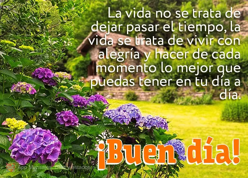 A vida não é passar o tempo, a vida é viver com alegria e fazer de cada momento o melhor que se pode ter no dia-a-dia. Bom dia!