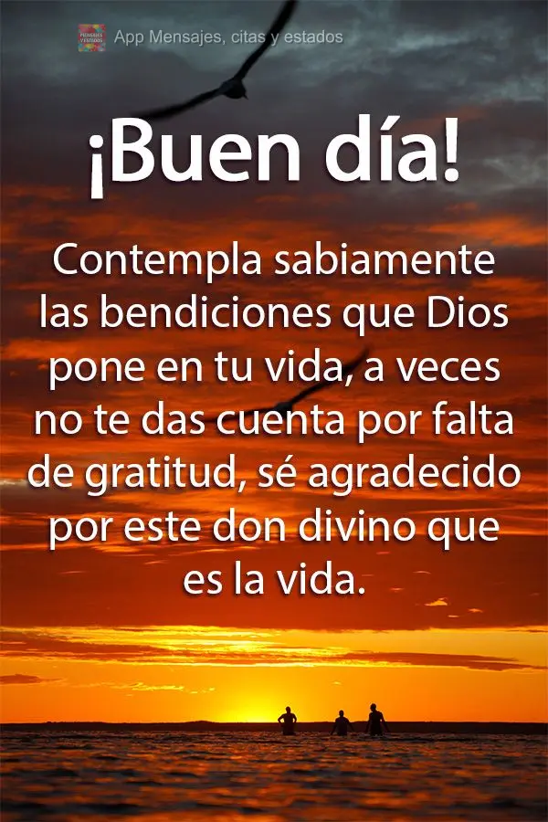 Contempla sabiamente las bendiciones que Dios pone en tu vida, a veces no te das cuenta por falta de gratitud, sé agradecido por este don divino que es ...