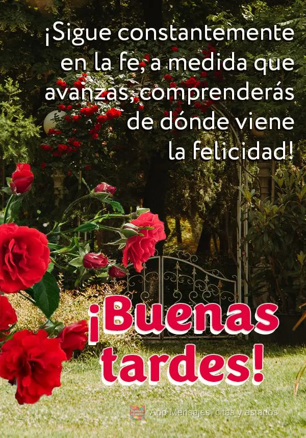 Siga constantemente na fé. Na medida que você avança, vai entender de onde vem a felicidade! Boa tarde!