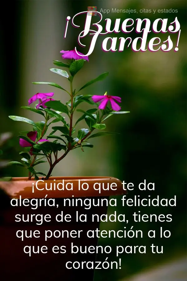 Cuide daquilo que te traz alegria. Nenhuma felicidade vem do nada, é preciso atentar-se ao que faz bem para o seu coração! Boa tarde!