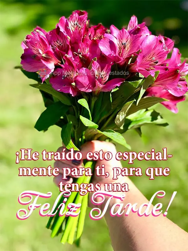 Trouxe especialmente para você ter uma Boa tarde!