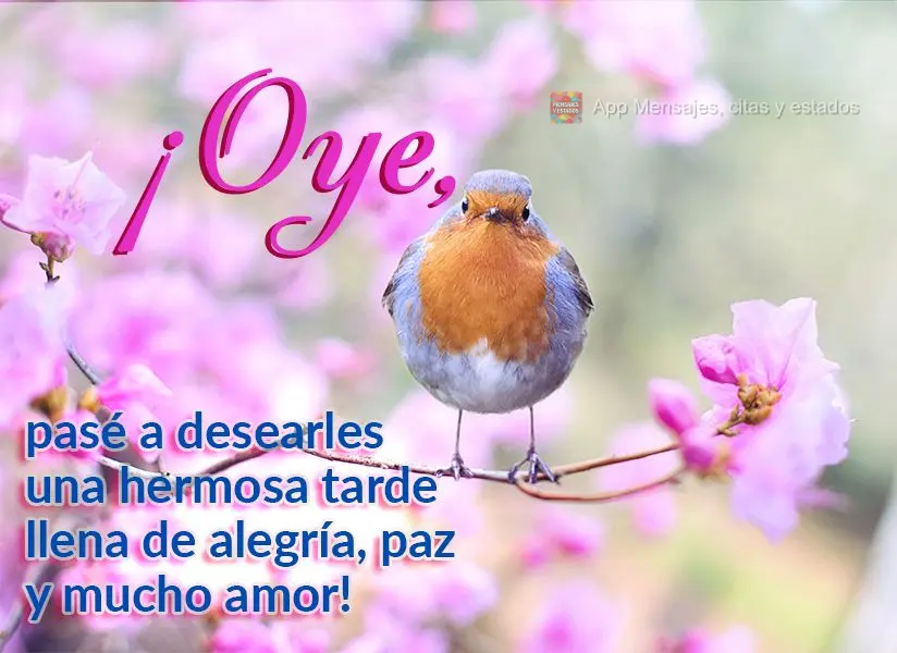 ¡Oye, pasé a desearles una hermosa tarde llena de alegría, paz y mucho amor!