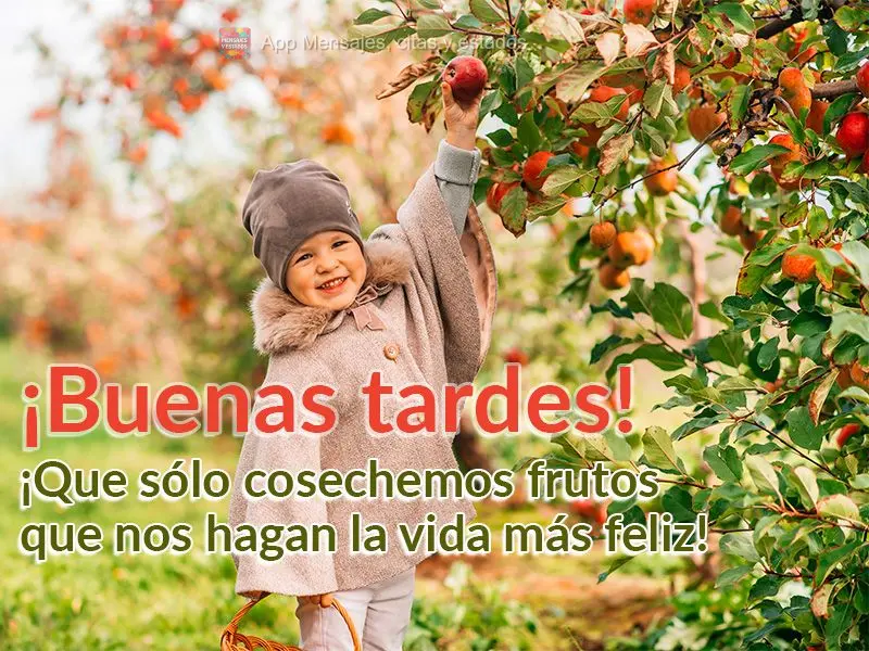 Que possamos colher somente frutos que fazem a vida mais feliz! Boa tarde!