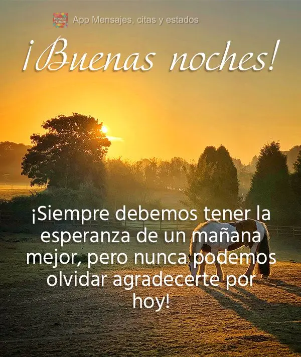 Devemos sempre nos manter na esperança por um amanhã melhor, mas nunca podemos esquecer de agradecer pelo dia de hoje! Boa tarde!