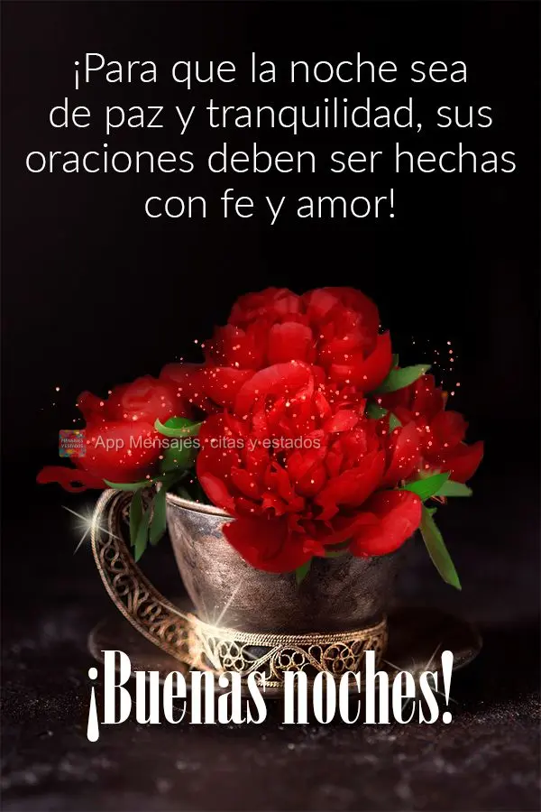 ¡Para que la noche sea de paz y tranquilidad, sus oraciones deben ser hechas con fe y amor! ¡Buenas noches!