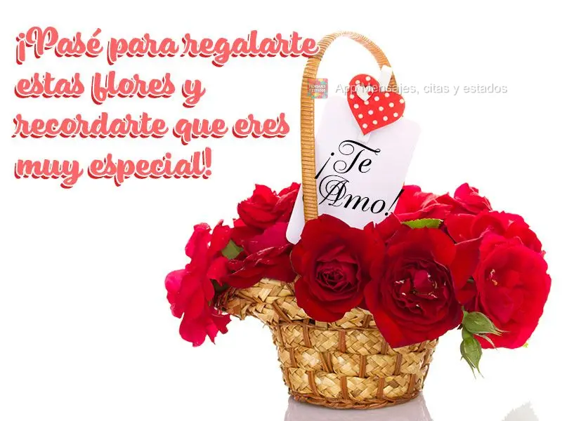 Passei aqui para lhe entregar essas flores e lembrar que você é muito especial! Te amo!