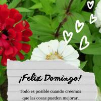 Tudo é possível quando a gente acredita que as coisas podem melhorar, quem tem fé sempre saberá continuar em frente! Feliz Domingo!