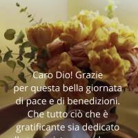 Querido Deus! Obrigada por este lindo dia de paz e bênçãos, que todas as gratificações sejam dedicadas a sua existência, e que nunca nos falte moti...