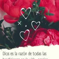 Deus sabe o tempo certo de trazer para a sua vida, aquela bênção da qual você tanto espera, confie em Seus planos!