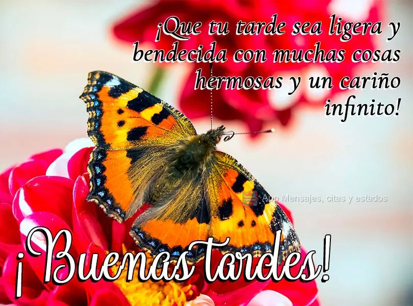 ¡Que tu tarde sea ligera y bendecida con muchas cosas hermosas y un cariño infinito! ¡Buenas tardes!