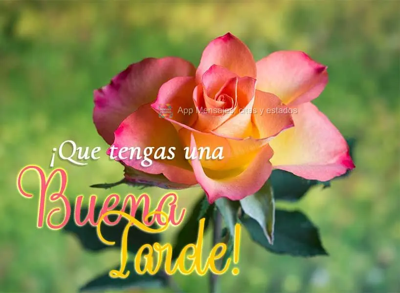 ¡Que tengas una buena tarde!