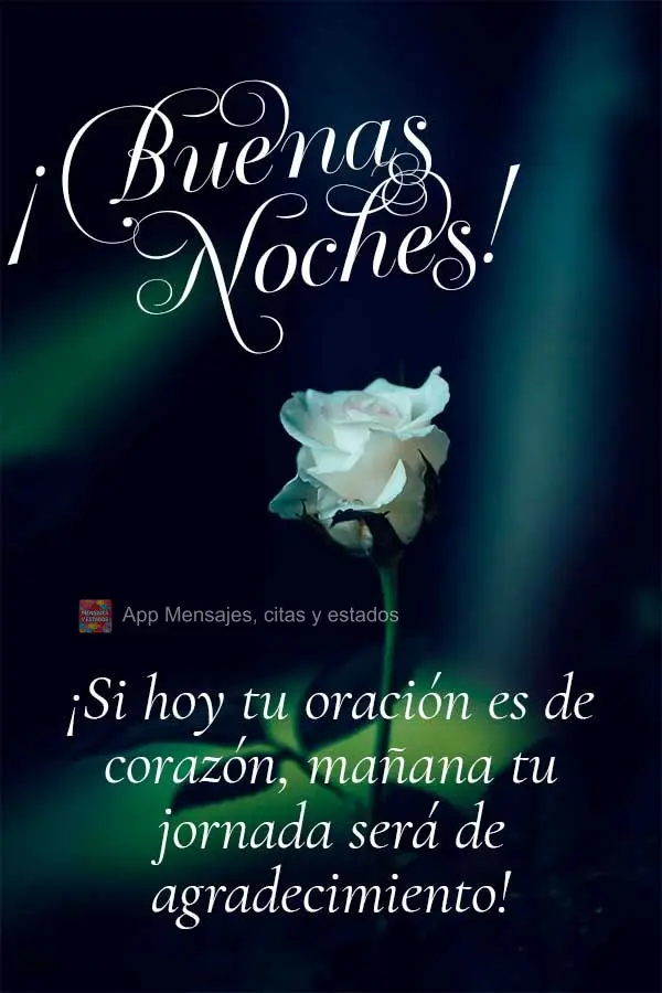 Se hoje a sua oração for feita de coração, amanhã o seu dia será de gratidão! Boa noite! 