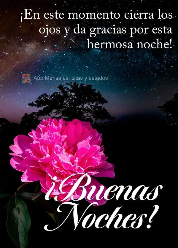 ¡En este momento cierra los ojos y da gracias por esta hermosa noche! ¡Buenas noches!