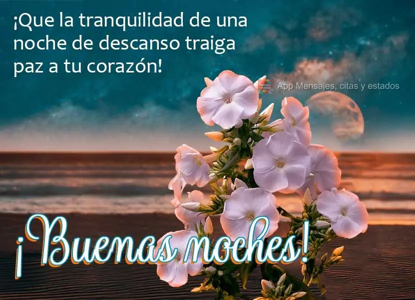 Que a tranquilidade de uma noite de descanso possa trazer paz para o seu coração!  Boa noite!