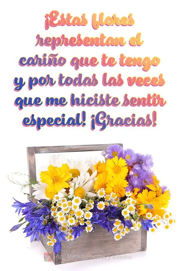 Essas flores representam o carinho que tenho por você e por todas as vezes que você me fez sentir especial! Obrigada!