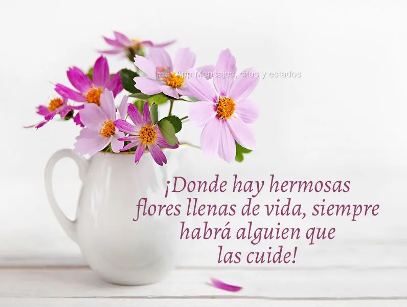 ¡Donde hay hermosas flores llenas de vida, siempre habrá alguien que las cuide!