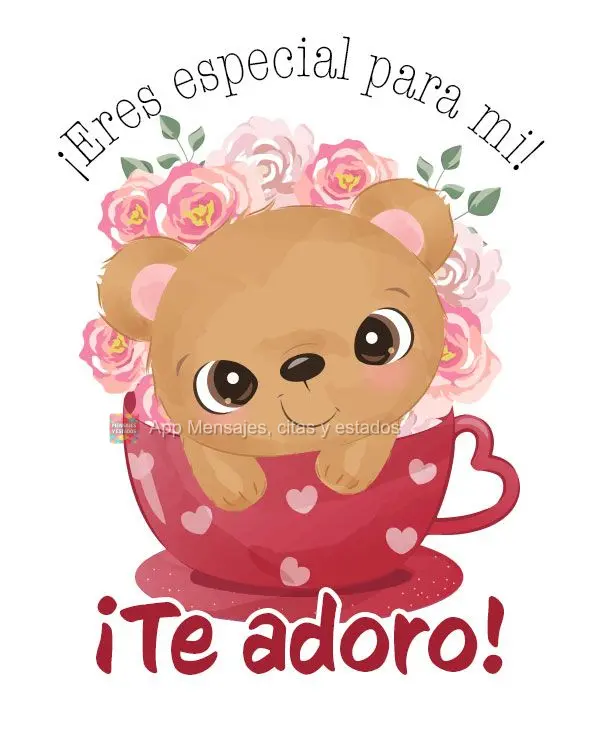 ¡Eres especial para mi! ¡Te adoro!