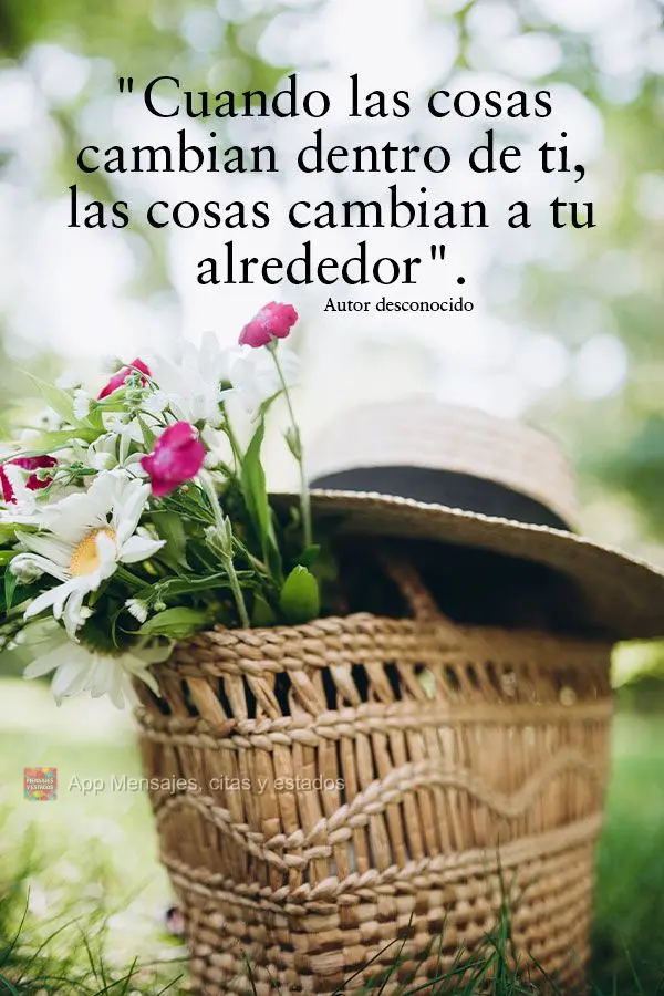 "Cuando las cosas cambian dentro de ti, las cosas cambian a tu alrededor". Autor desconocido