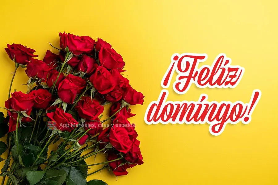¡Feliz domingo!