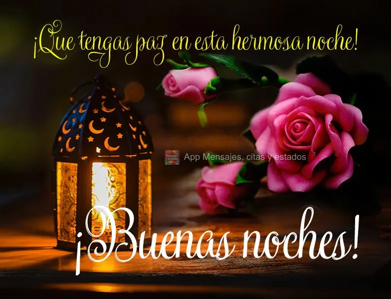 Que você tenha paz nesta linda noite! Boa noite! 