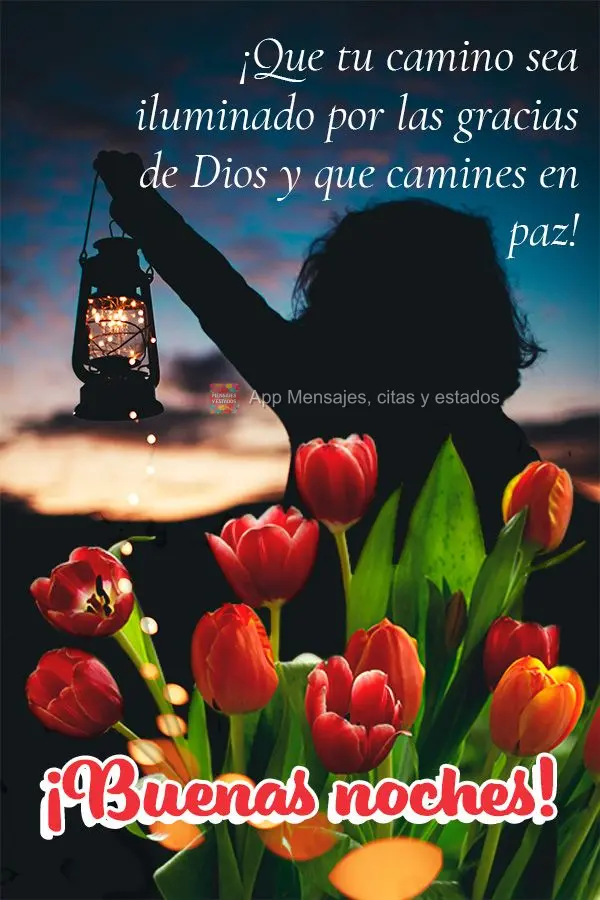 Que o seu caminho seja iluminado pelas graças de Deus e que você possa seguir em paz! Boa noite! 