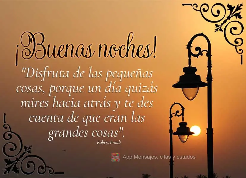 "Aproveite as pequenas coisas, pois um dia você pode olhar para trás e perceber que elas eram as coisas grandes." Boa noite!  Robert Brault
