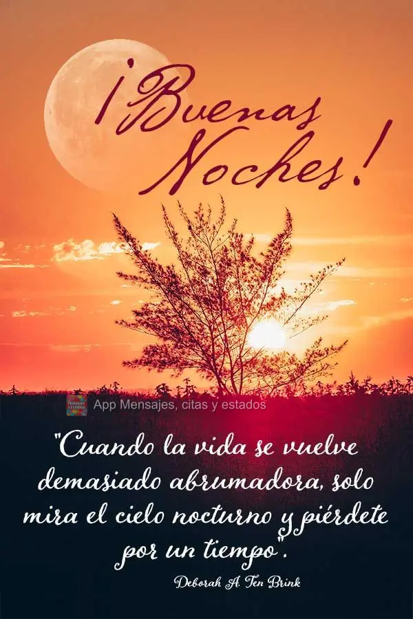 "Quando a vida fica muito esmagadora, basta olhar para o céu noturno e se perder por um tempo."  Boa noite!  Deborah A.Ten Brink