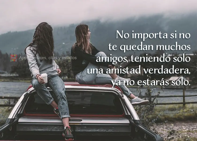 No importa si no te quedan muchos amigos, teniendo solo una amistad verdadera, ya no estarás solo.