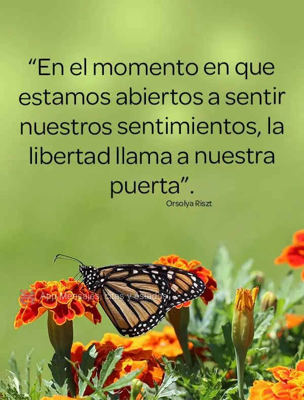 “En el momento en que estamos abiertos a sentir nuestros sentimientos, la libertad llama a nuestra puerta”.  Orsolya Riszt