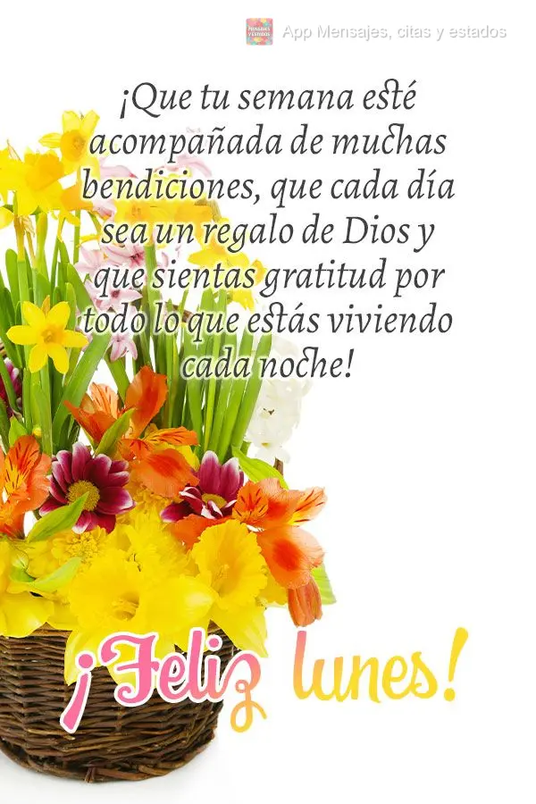 ¡Que tu semana esté acompañada de muchas bendiciones, que cada día sea un regalo de Dios y que sientas gratitud por todo lo que estás viviendo cada ...