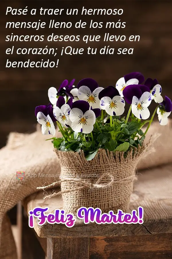 Pasé a traer un hermoso mensaje lleno de los más sinceros deseos que llevo en el corazón; ¡Que tu día sea bendecido! ¡Feliz martes!