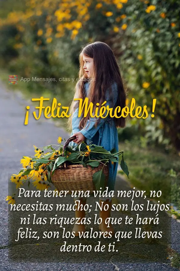 Para se ter uma vida melhor, não precisa de muita coisa; não é luxo, nem riquezas que lhe farão feliz, são os valores que você carrega dentro de si...