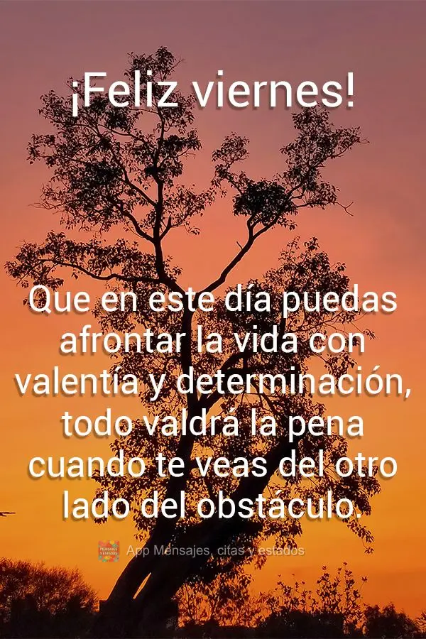 Que en este día puedas afrontar la vida con valentía y determinación, todo valdrá la pena cuando te veas del otro lado del obstáculo. ¡Feliz vierne...