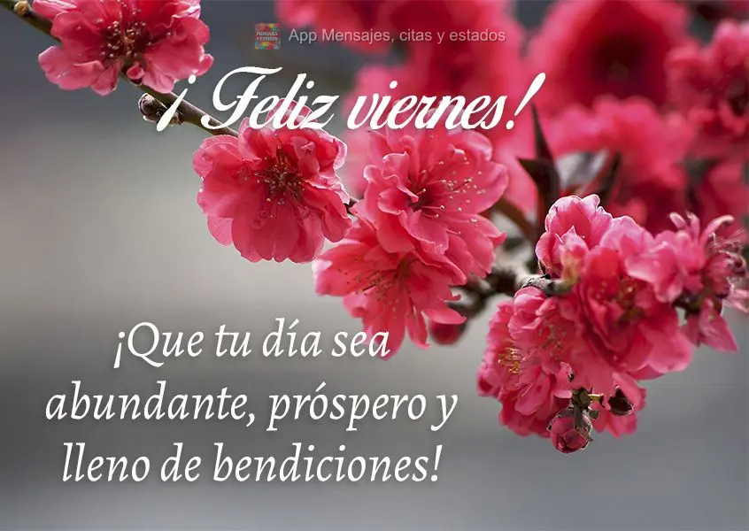 Que seu dia seja abundante, próspero e cheio de bênçãos! Feliz Sexta-feira! 