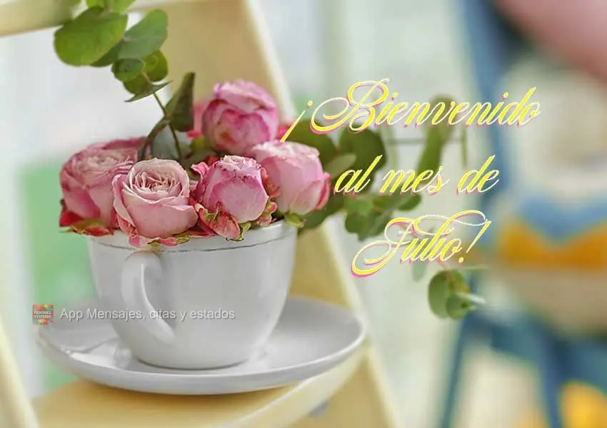 Seja bem-vindo ao mês de Julho!