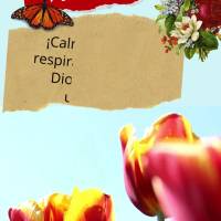 Acalma o teu coração e respira fundo, porque Deus te deu mais um dia! Bom dia!