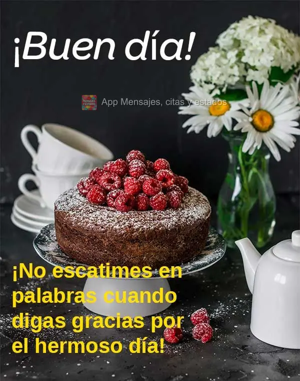 ¡No escatimes en palabras cuando digas gracias por el hermoso día! ¡Buen día!
