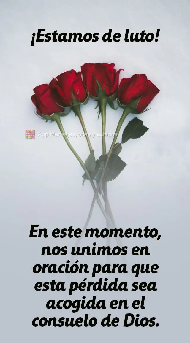 En este momento, nos unimos en oración para que esta pérdida sea acogida en el consuelo de Dios. ¡Estamos de luto!