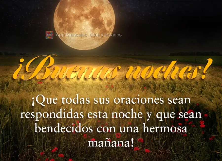 Que todas as suas preces sejam atendidas nesta noite e que você possa ser abençoado com uma linda manhã! Boa noite! 