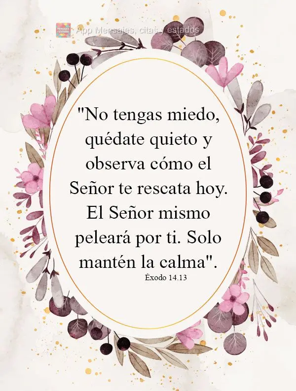 "No tengas miedo, quédate quieto y observa cómo el Señor te rescata hoy. El Señor mismo peleará por ti. Solo mantén la calma". Éxodo 14.13