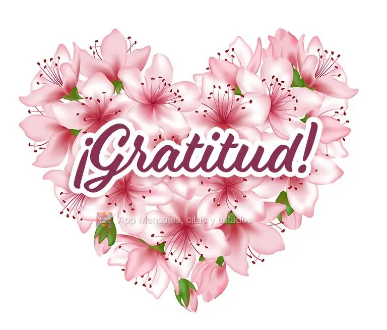¡Gratitud!