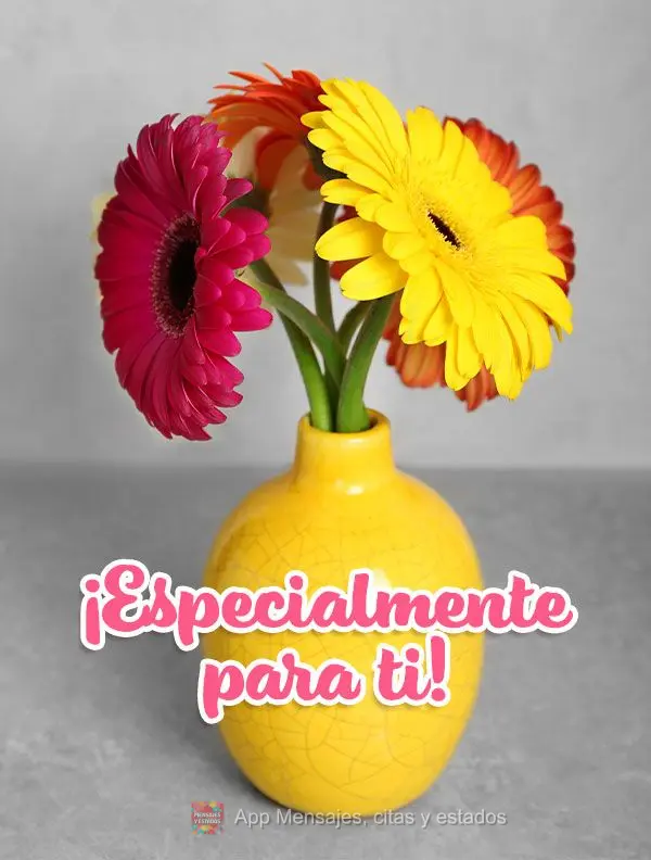 ¡Especialmente para ti!