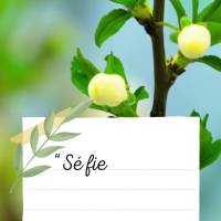 "Seja fiel nas pequenas coisas porque é nelas que reside a sua força." Madre Teresa