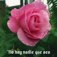 "Não há ninguém que seja insignificante no propósito de Deus." Alistair Begg