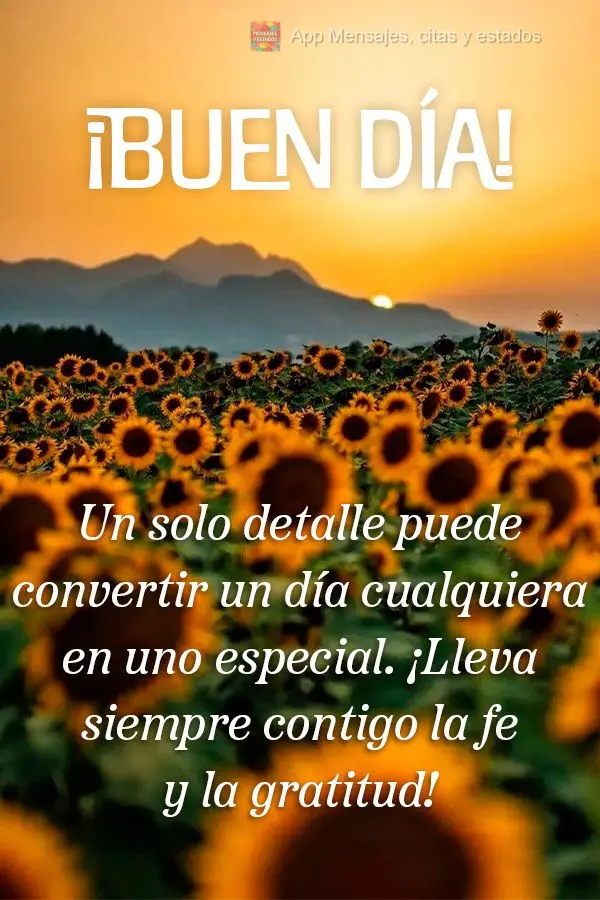 Apenas um detalhe pode transformar um dia normal em uma dia especial. Levar consigo sempre fé e gratidão! Bom dia!