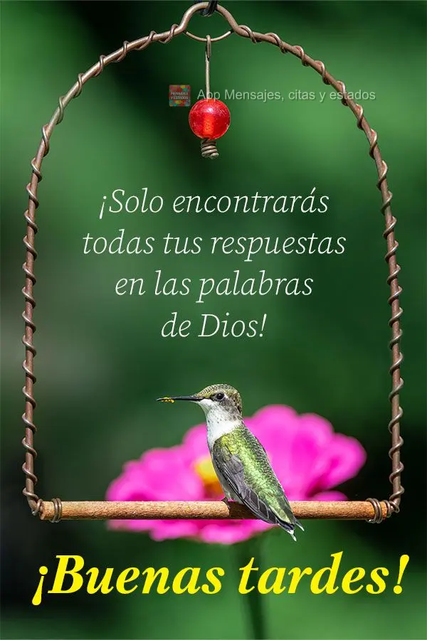 Você só encontrará todas as suas respostas nas palavras de Deus!  Boa tarde!