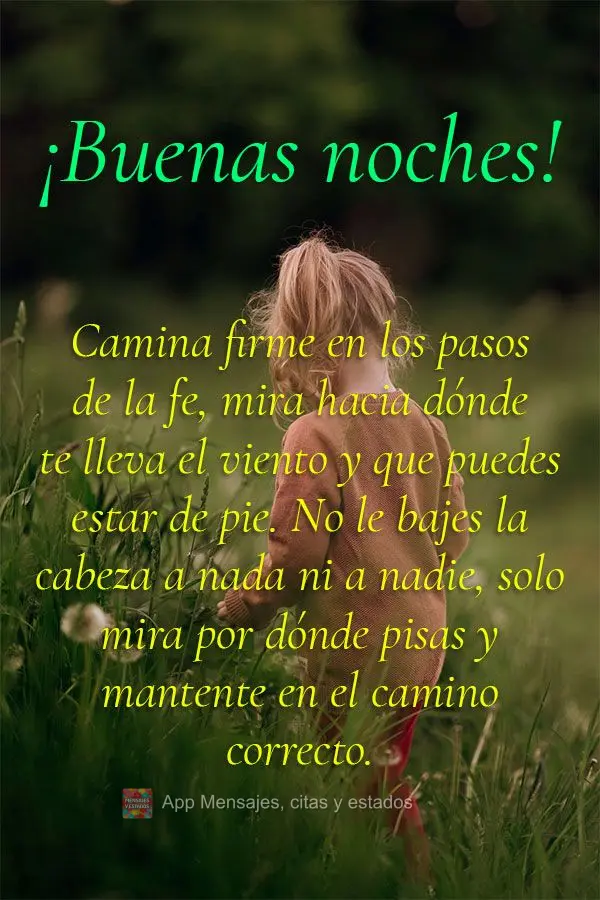 Ande firmemente nos passos da fé, observe para onde o vento te leva e que você consiga se manter em pé. Não abaixe a cabeça para nada, nem ninguém,...